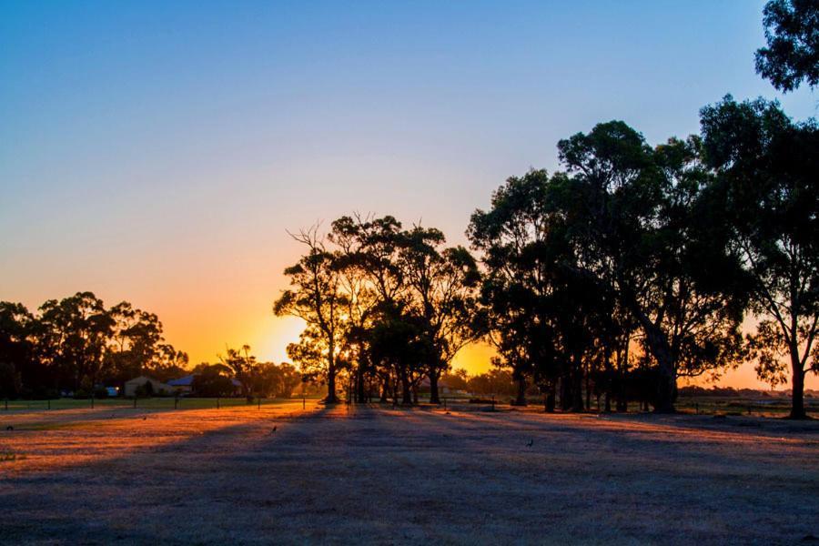 Inn The Tuarts Guest Lodge Busselton Accommodation - Adults Only Экстерьер фото